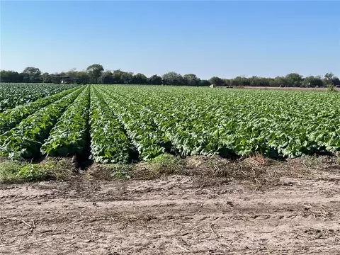 002 S Cage Blvd, Pharr, TX 78577 photo 39