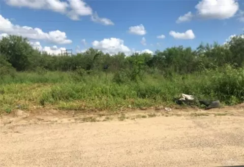 311 Dolphin St, Roma, TX 78584