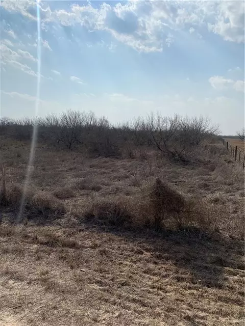 0 Cr 218 Rd, Falfurrias, TX 78355