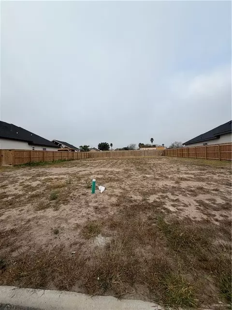 3909 Red Lantana St, Mission, TX 78573
