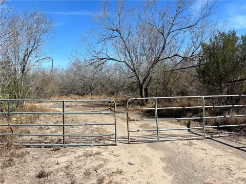 00 Cr 440 Rd, Palito Blanco, TX 78332