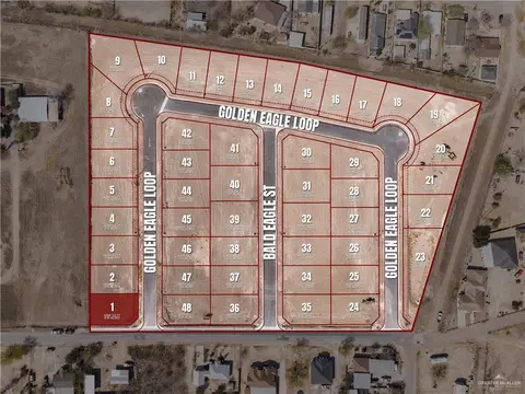 2845 Golden Eagle Loop, Roma, TX 78584 photo 3