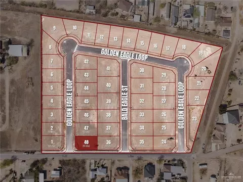 2844 Golden Eagle Loop, Roma, TX 78584 photo 2