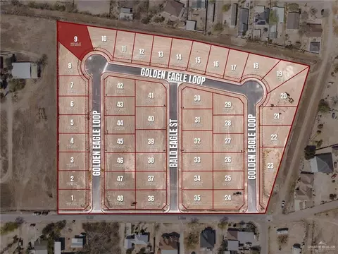 2861 Golden Eagle Loop, Roma, TX 78584 photo 2