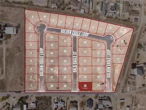2897 Bald Eagle St, Roma, TX 78584 photo 2