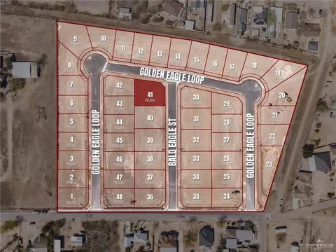 2858 Bald Eagle St, Roma, TX 78584 photo 2