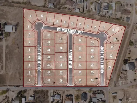 2883 Golden Eagle Loop, Roma, TX 78584 photo 3