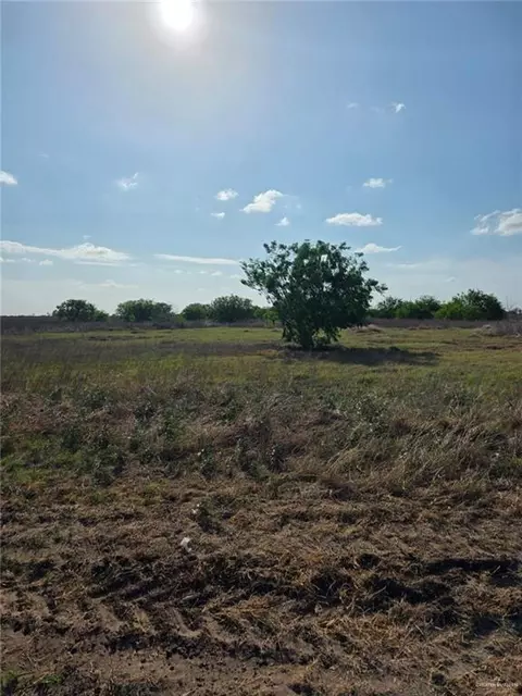 M 1st W, Edcouch, TX 78538 photo 3