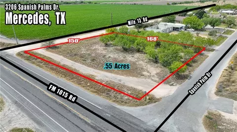 3206 S Spanish Palms Dr, Mercedes, TX 78570