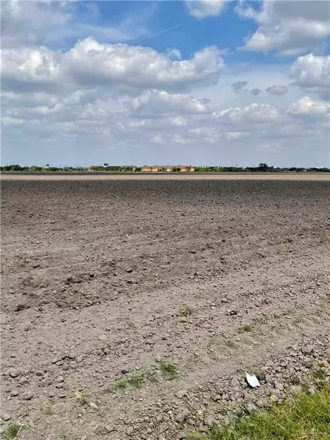tbd N Mile 16 Rd E, Elsa, TX 78543
