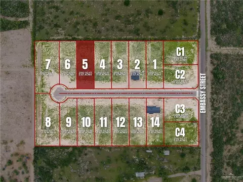110 Starrview Dr, Rio Grande City, TX 78582