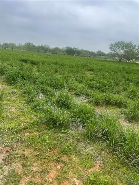 24307 Rio Colorado Rd, Edinburg, TX 78541