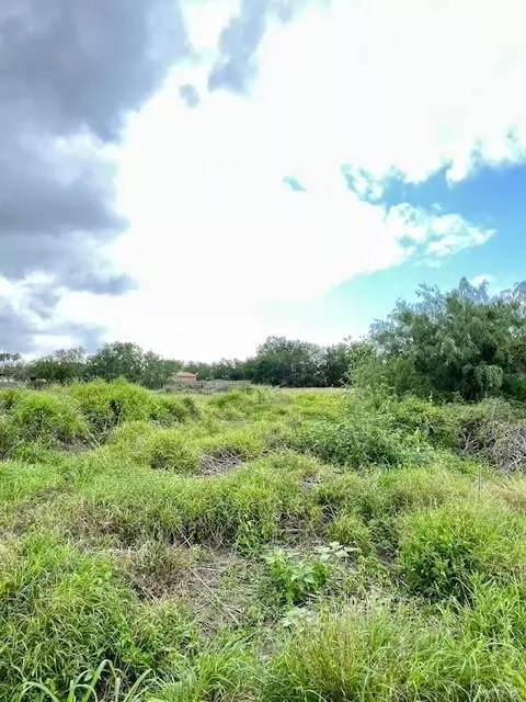 704 Monterrey Dr, Weslaco, TX 78599