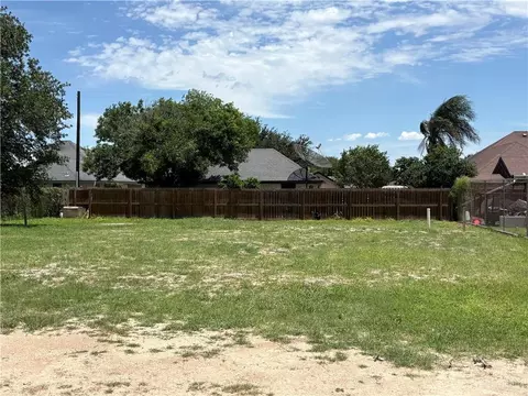 706 Nogales St, Palmview, TX 78572