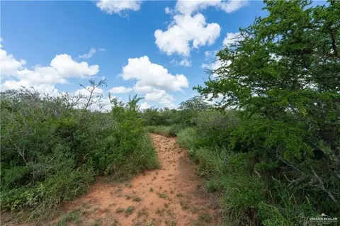 Other - 220 Delmita Rd, Delmita, TX 78536 photo 8 of 9