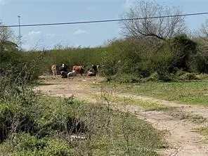 0 W Brushline Rd, Mission, TX 78574