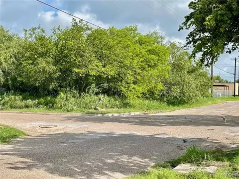 tbd N Palm St, Progreso, TX 78570 photo 4