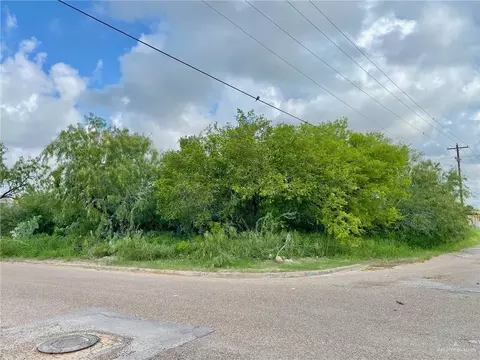 tbd N Palm St, Progreso, TX 78570