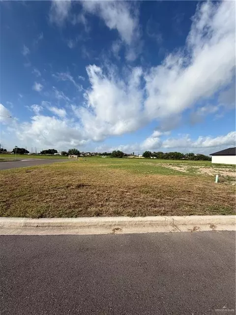 1603 Foxtail St, Donna, TX 78537