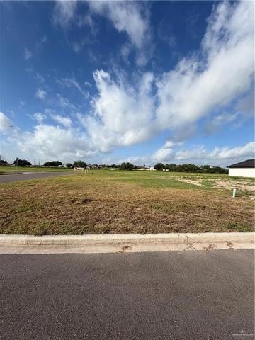 1603 Foxtail St, Donna, TX 78537