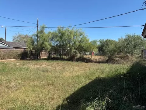0 E Lott Rd, Donna, TX 78537 photo 6