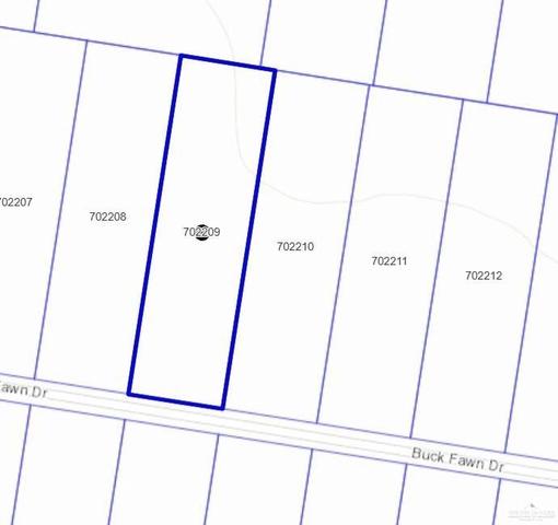 19904 Buck Fawn Dr, Edinburg, TX 78542
