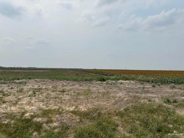 lot4 Briggs Cloeman Briggs Rd, Harlingen, TX 78550