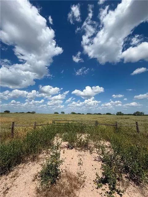153 Private Rd, Encino, TX 78353