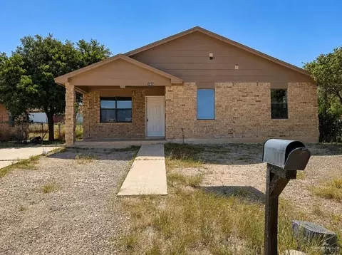 163 Old El Sauz Rd, Rio Grande City, TX 78582