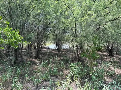 tbd Fm 2687, Zapata, TX 78076