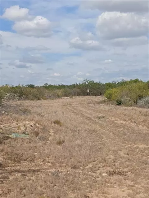 00 Frontier Dr, Freer, TX 78537 photo 9