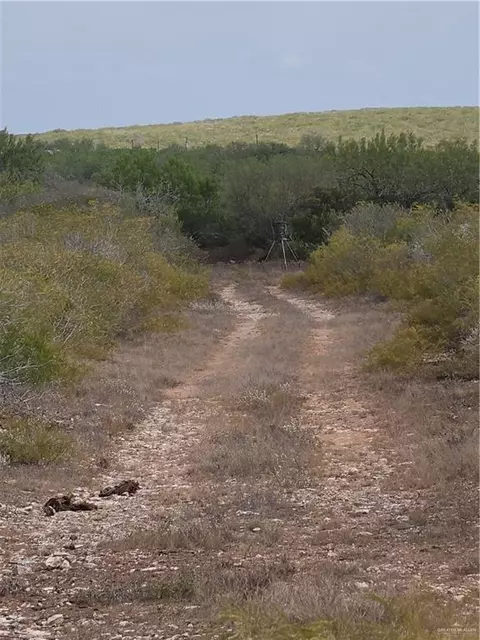 00 Frontier Dr, Freer, TX 78537 photo 14