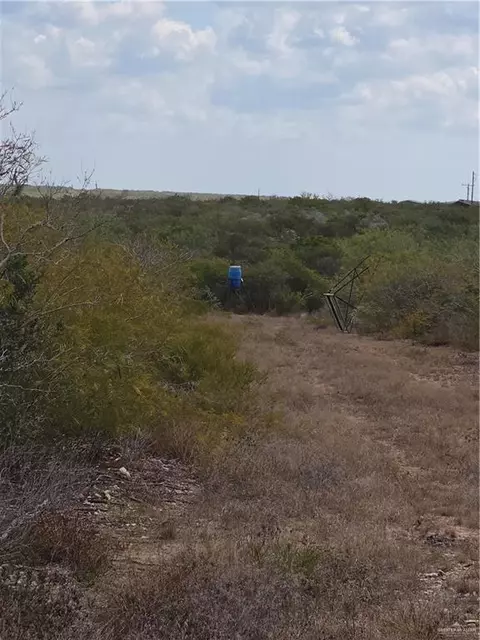 00 Frontier Dr, Freer, TX 78537 photo 15