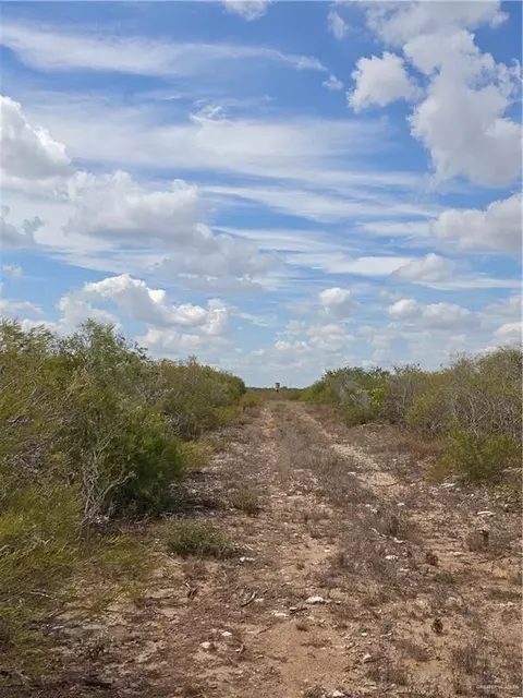 00 Frontier Dr, Freer, TX 78537 photo 6