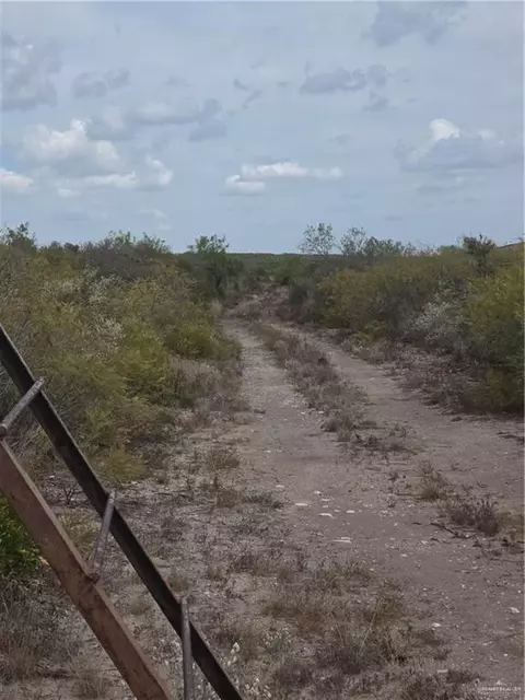00 Frontier Dr, Freer, TX 78537 photo 10