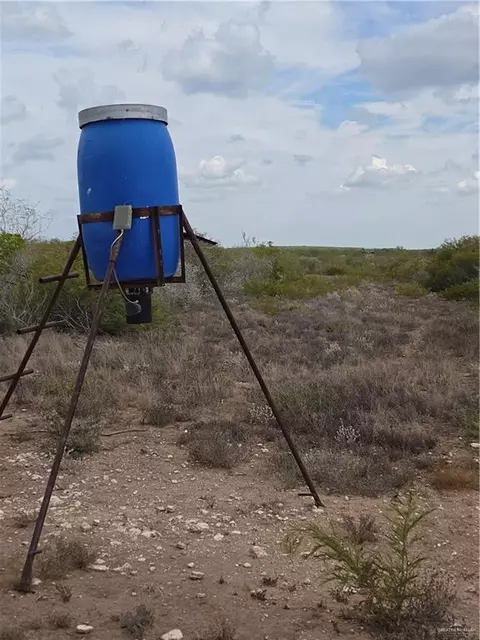 00 Frontier Dr, Freer, TX 78537 photo 13