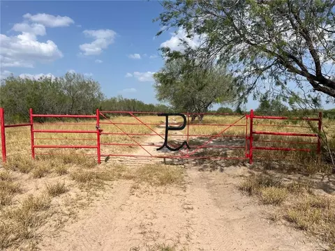 53 Mirasoles St, El Sauz, TX 78582