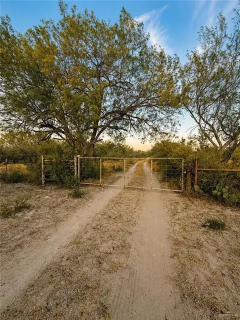 00001 Fm 3167, Rio Grande City, TX 78582