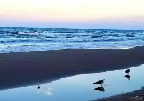107 E Bahama St #A4, South Padre Island, TX 78597