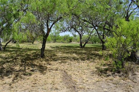 9732 Cr 300, Mathis, TX 78368 photo 1