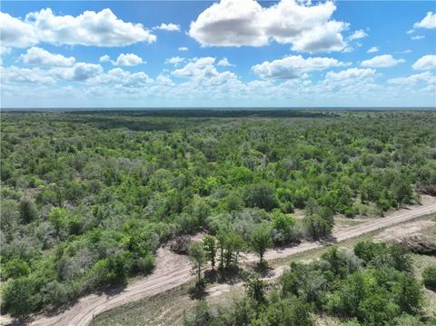 178 Mcguill Rd, Refugio, TX 78377 photo 1
