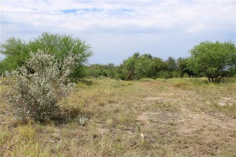 00 Lot 10 Vista Fina Dr, Sandia, TX 78383