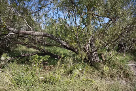 4 Cr 1196 #4, Sinton, TX 78387