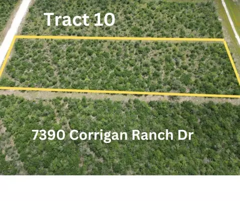 7390 Corrigan Ranch Drive- Tract 10, Skidmore, TX 78389