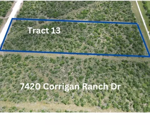 7420 Corrigan Ranch Drive- Tract 13, Skidmore, TX 78389