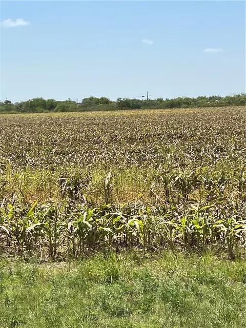 15489 Hwy 77, Odem, TX 78370