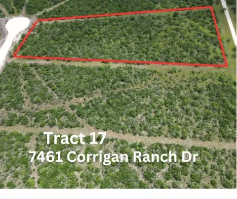 7460 Corrigan Ranch- Tract 17 Rd, Skidmore, TX 78389