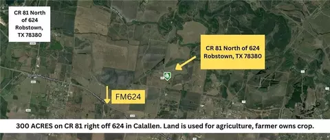 0 County Rd 81 N Of Fm Rd 624, Robstown, TX 78380