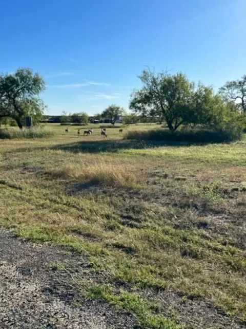 lot20 Nakishwana Cir #VIII, Sandia, TX 78383