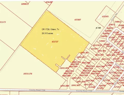 0 County Road 1726, Odem, TX 78370